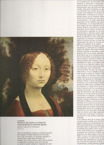 LAMINA V20417: Retrato de dama o Dama de Liechtenstein da Vinci