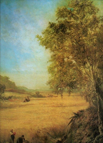 LAMINA V20580: Campo de trigo por Marti Alsina