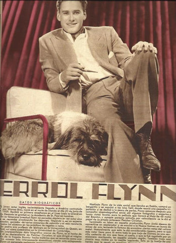 LAMINA 32385: Errol Flynn