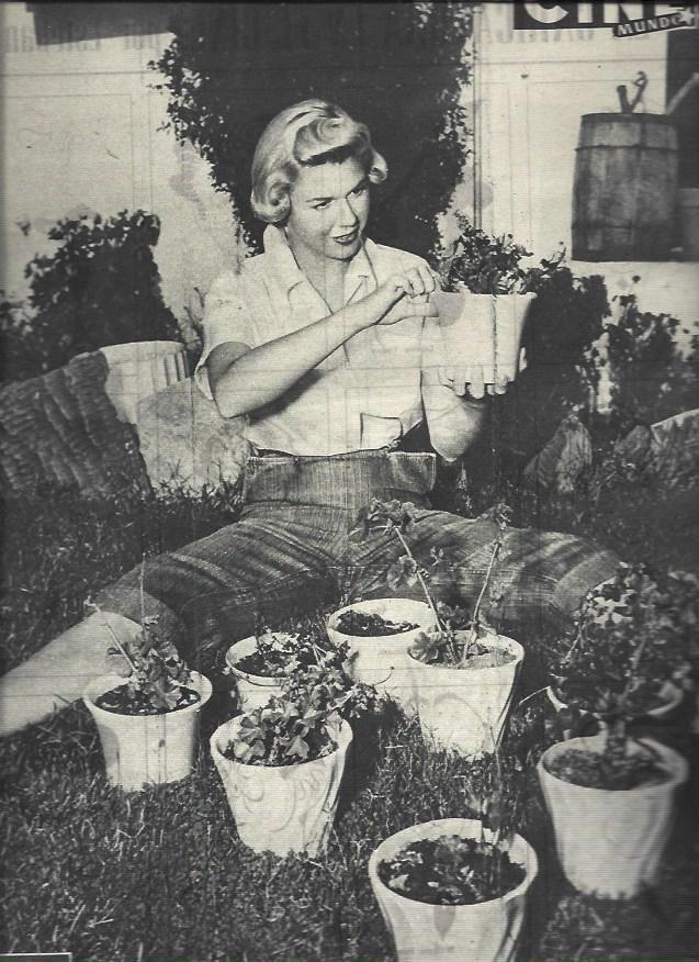LAMINA 33075: Doris Day