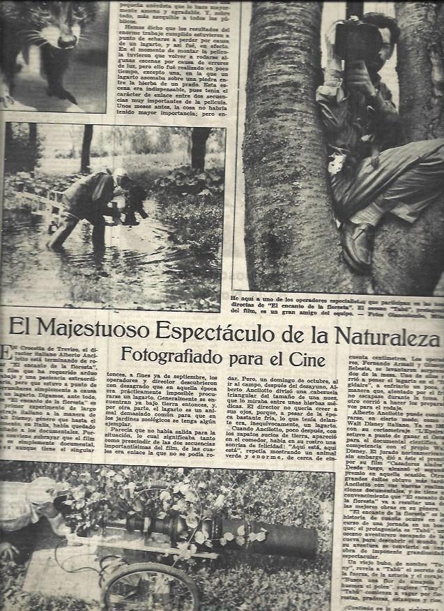 LAMINA 32835: Fotos para el cine