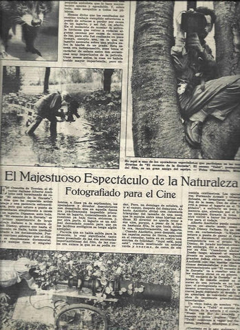 LAMINA 32835: Fotos para el cine