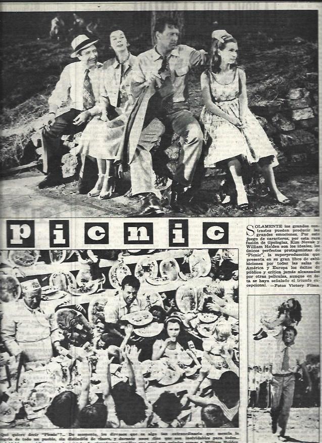 LAMINA 32750: Picnic