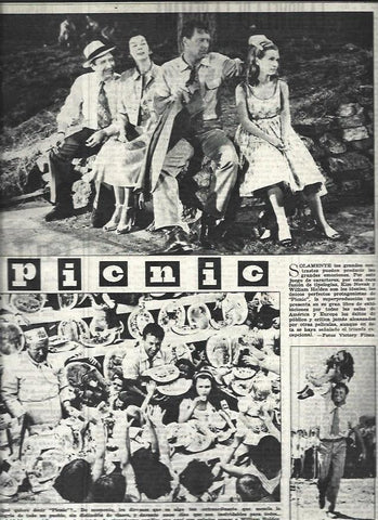 LAMINA 32750: Picnic