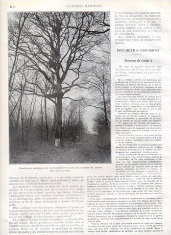 LAMINA V21076: Observatorio frances en un arbol de un bosque del Argona 