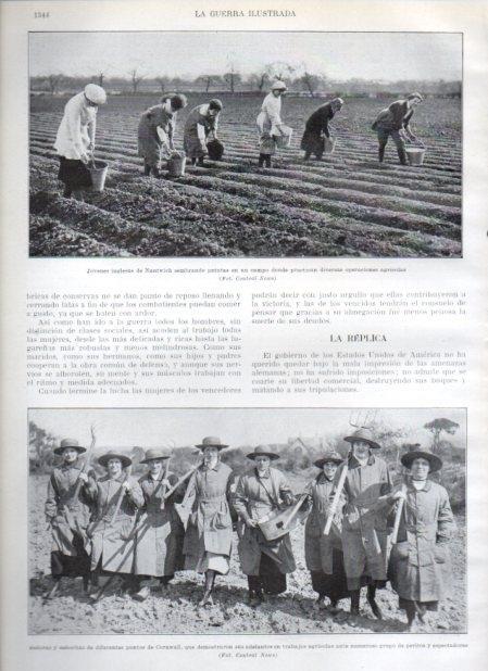LAMINA V20981: Inglesas de Nantwich sembrando patatas