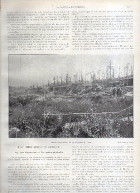 LAMINA V20690: Campo atrincherado de Ypres