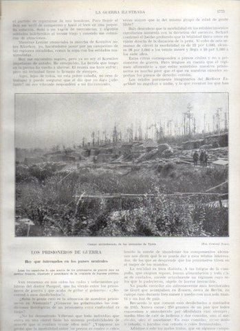 LAMINA V20690: Campo atrincherado de Ypres