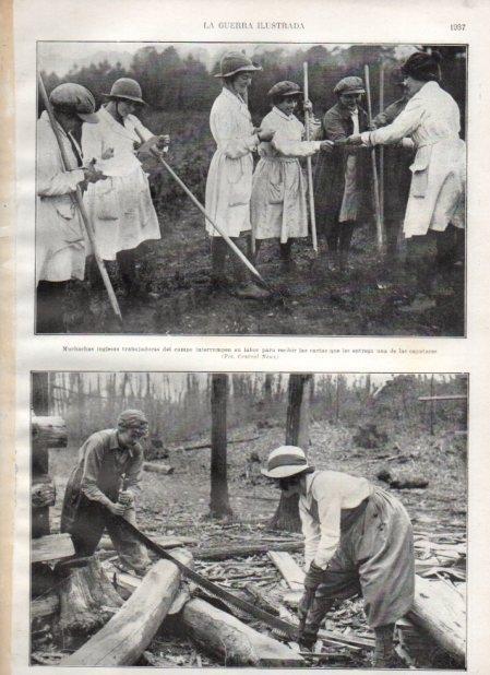 LAMINA V20781: Colegialas americanas en granja agricola