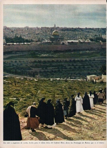 LAMINA V21500: Domingo de Ramos en Jerusalen