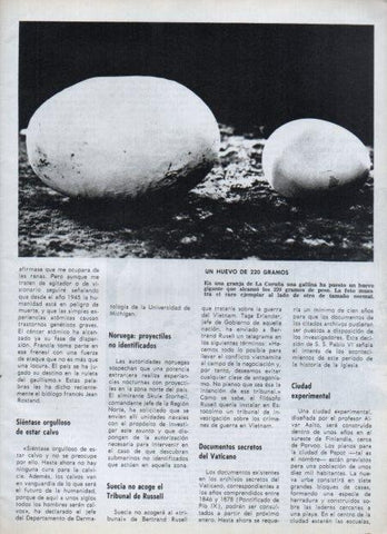 LAMINA V21634: Huevo de 220 gramos en granja de La Coruña