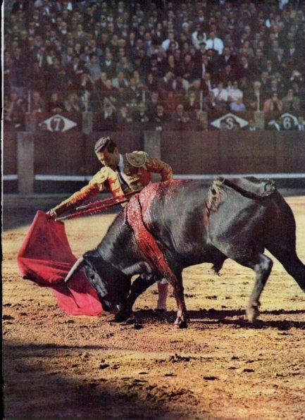LAMINA V21190: Maestro Bienvenida en plaza de toros de Salamanca