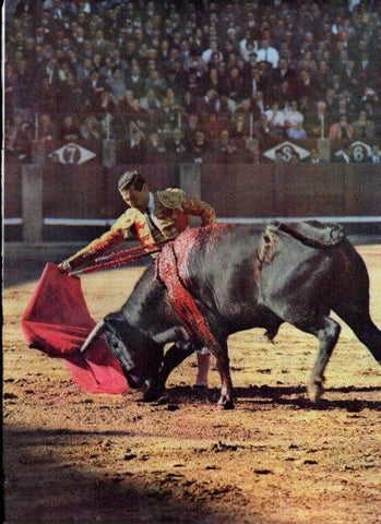 LAMINA V21190: Maestro Bienvenida en plaza de toros de Salamanca