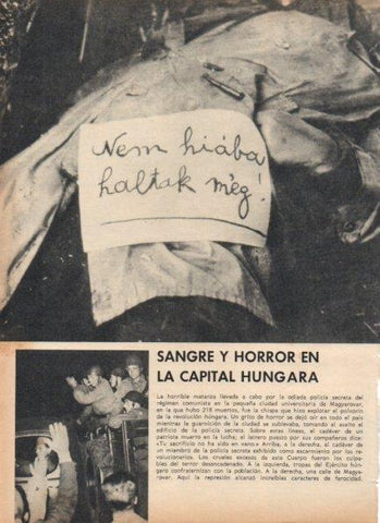 LAMINA V21239: Matanza en la universidad de Magyarovar en Hungria