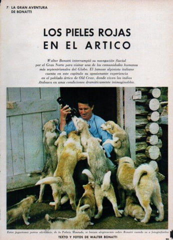 LAMINA V24880: Walter Bonatti con perros siberianos