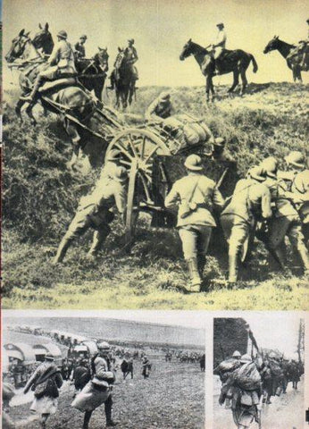 LAMINA V24861: Trincheras francesas en Verdun 1916