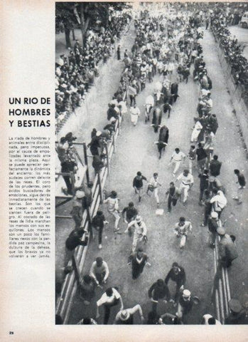 LAMINA V24946: Encierro de San Fermin