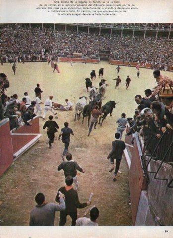 LAMINA V24944: Mozos entrando en playa de toros de Pamplona