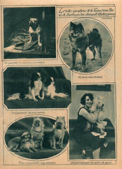 LAMINA V24757: Exposicion canina de Berlin