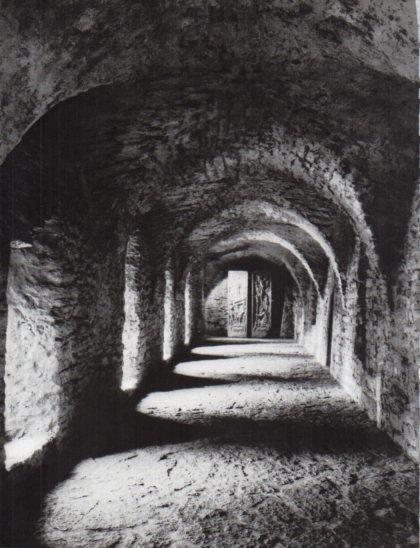 LAMINA V24823: Galeria del Monasterio dominico de Tallin