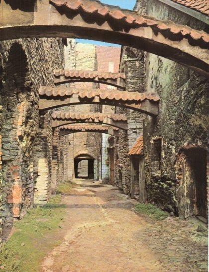 LAMINA V24826: Paso del muro sur del Monasterio dominico, Tallinn