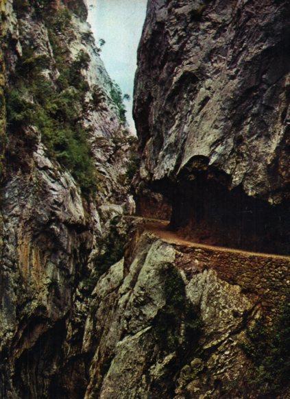 LAMINA V25133: Los Picos de Europa