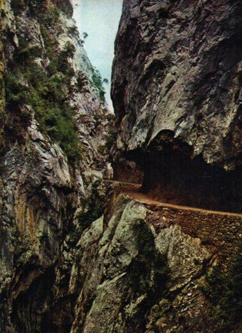 LAMINA V25133: Los Picos de Europa