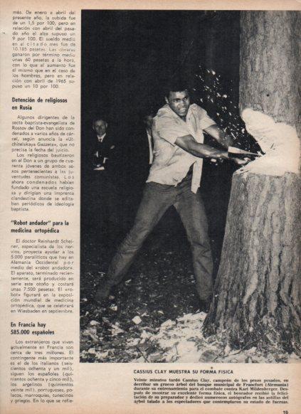LAMINA V25092: Cassius Clay cortando arbol en Francfort