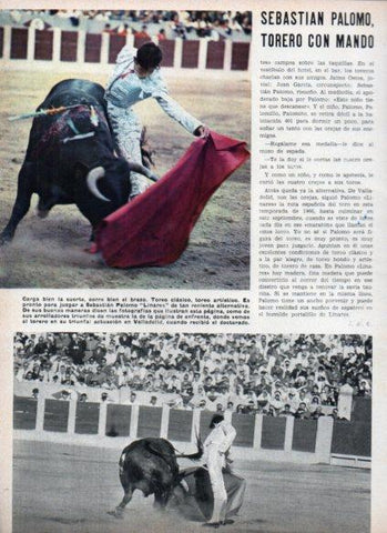 LAMINA V25097: S. Palomo Linares en plaza de toros de Valladolid