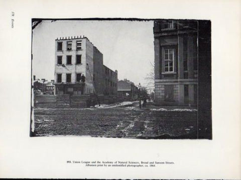LAMINA V24346: Academy of Natural Sciences 1864