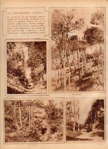 LAMINA V24423: Bosques de Vallvidrera, Barcelona
