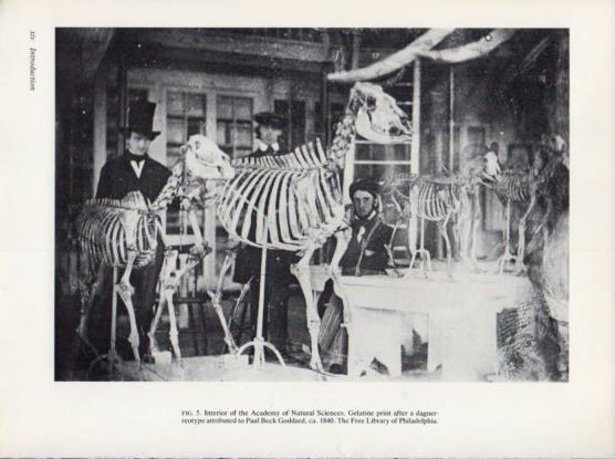 LAMINA V24376: Interior of the Academy of Natural Sciences 1840