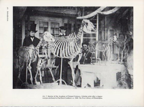 LAMINA V24376: Interior of the Academy of Natural Sciences 1840