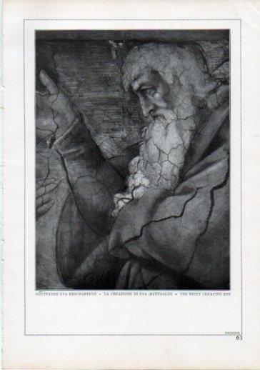 LAMINA V24194: Michelangelo. The deity creating eve