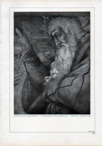 LAMINA V24194: Michelangelo. The deity creating eve