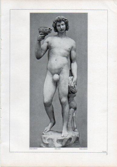 LAMINA V24164: Michelangelo. Bacchus