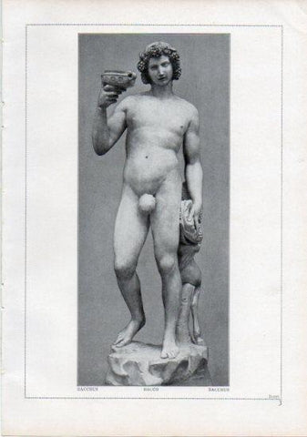 LAMINA V24164: Michelangelo. Bacchus