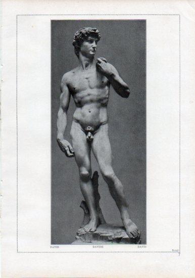 LAMINA V24166: Michelangelo. David