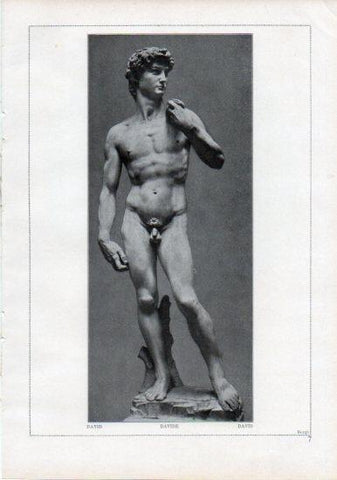 LAMINA V24166: Michelangelo. David