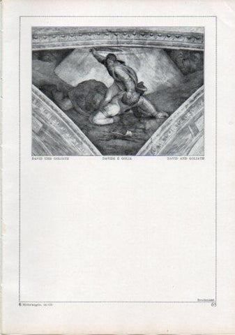 LAMINA V24195: Michelangelo. David and Goliath