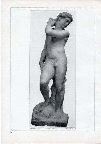 LAMINA V24178: Michelangelo. David-Apollo