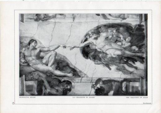 LAMINA V24184: Michelangelo. The creation of Adam