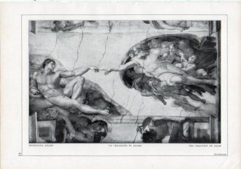 LAMINA V24184: Michelangelo. The creation of Adam