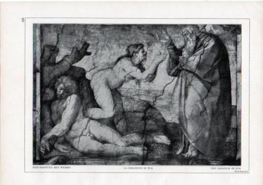 LAMINA V24185: Michelangelo. The creation of Eve