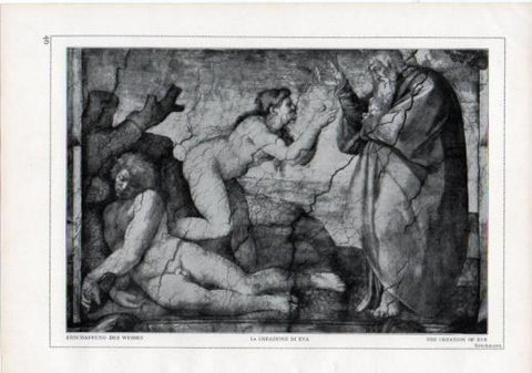 LAMINA V24185: Michelangelo. The creation of Eve