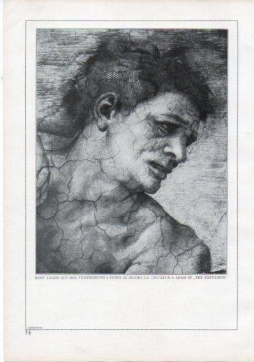 LAMINA V24189: Michelangelo. Adam in the expulsion