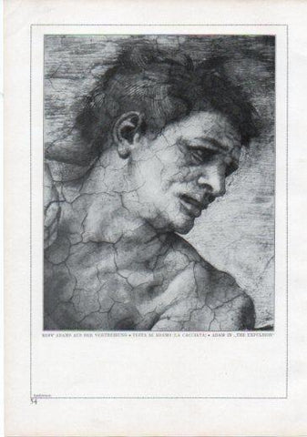 LAMINA V24189: Michelangelo. Adam in the expulsion
