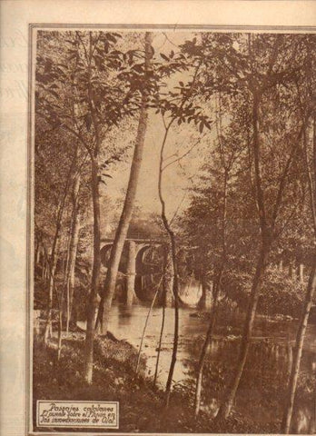 LAMINA V24601: Puente sobre el Fluvia cerca de Olot