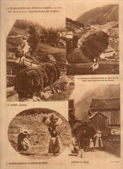 LAMINA V24678: Recoleccion del heno en Saboya, Francia