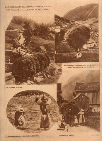 LAMINA V24678: Recoleccion del heno en Saboya, Francia